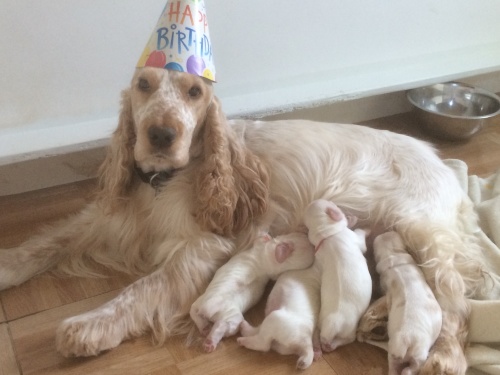 Erin and her babies on her birthday